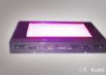 600W Indoor Plant Grow Light